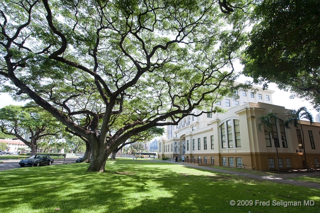 20091031_132302 D3.jpg - Nice landscape (Hawaii Supreme Court)